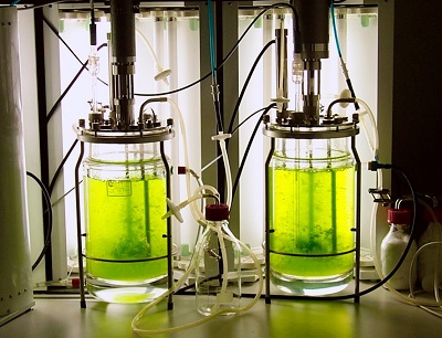 Sistemas artificiales: Biotecnología y Alfabetización digital aplicada la producción alimentos imagen